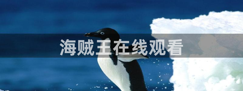 韩漫漫画免费下拉式漫画：海贼王在线观看