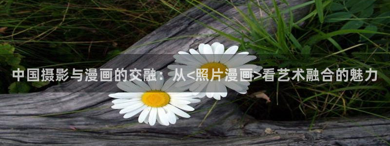 以眼还眼韩漫画在线观看：中国摄影与漫画的交融：从<照片漫画>看艺术融合的魅力