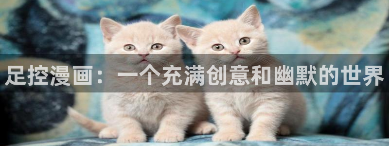 黄色韩漫在线观看：足控漫画：一个充满创意和幽默的世界