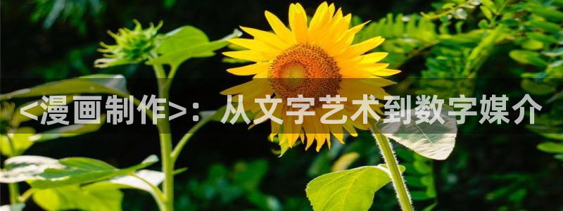 韩漫画秘密教学歪歪漫画：<漫画制作>：从文字艺术到数字媒介