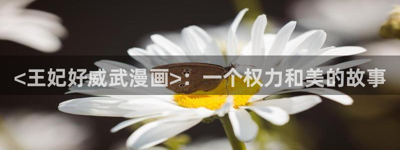 韩漫18漫画：<王妃好威武漫画>：一个权力和美的故事