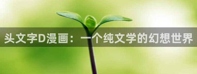 韩漫画推荐：头文字D漫画：一个纯文学的幻想世界